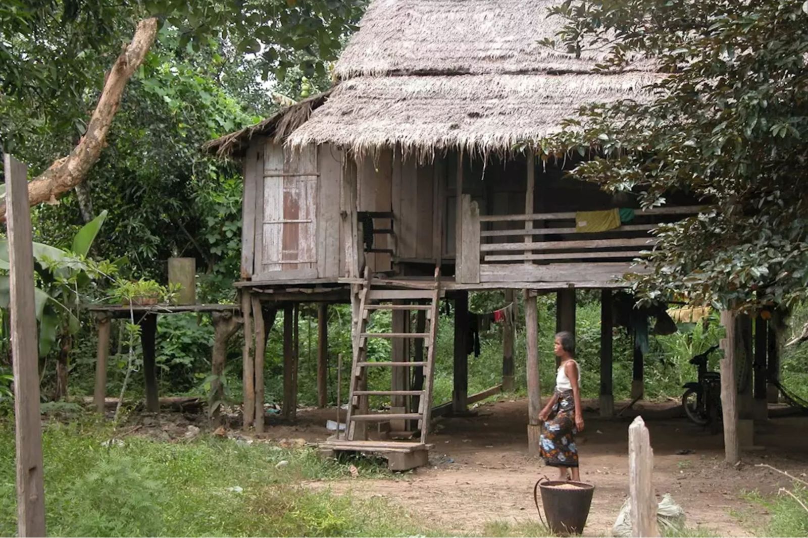 Trekking Jungle : Ratanakiri vs Mondulkiri, Guide Complet 2025