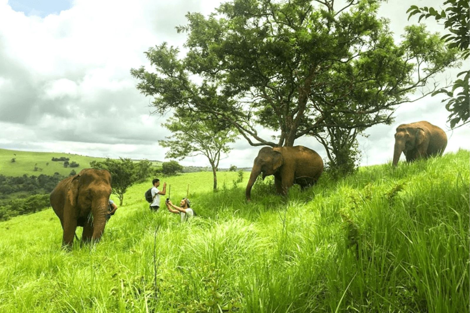 Trekking Jungle : Ratanakiri vs Mondulkiri, Guide Complet 2025