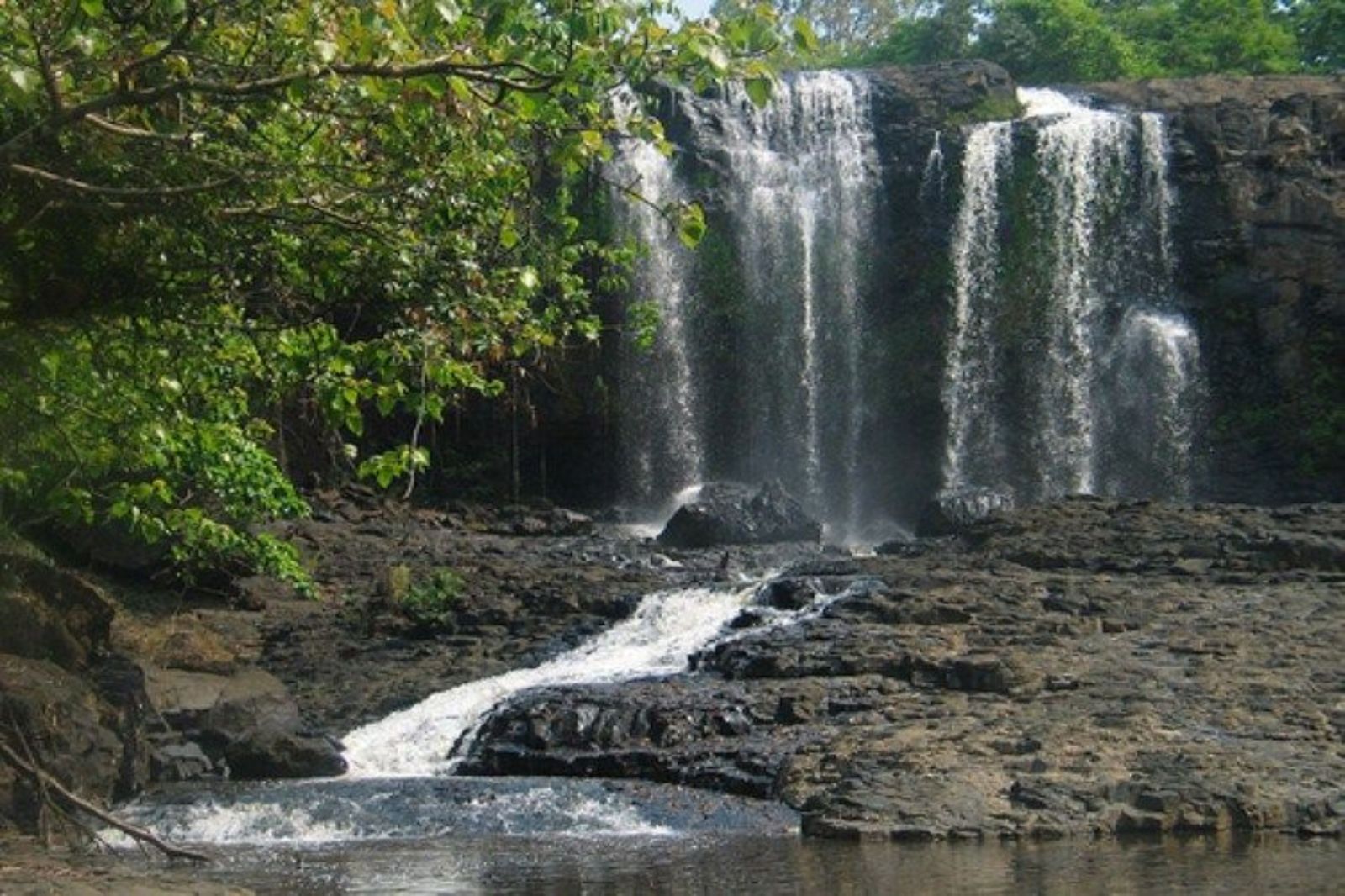 Trekking Jungle : Ratanakiri vs Mondulkiri, Guide Complet 2025
