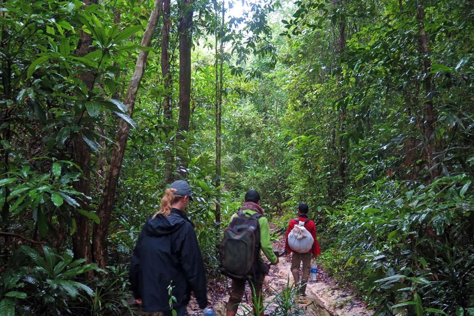Trekking Jungle : Ratanakiri vs Mondulkiri, Guide Complet 2025
