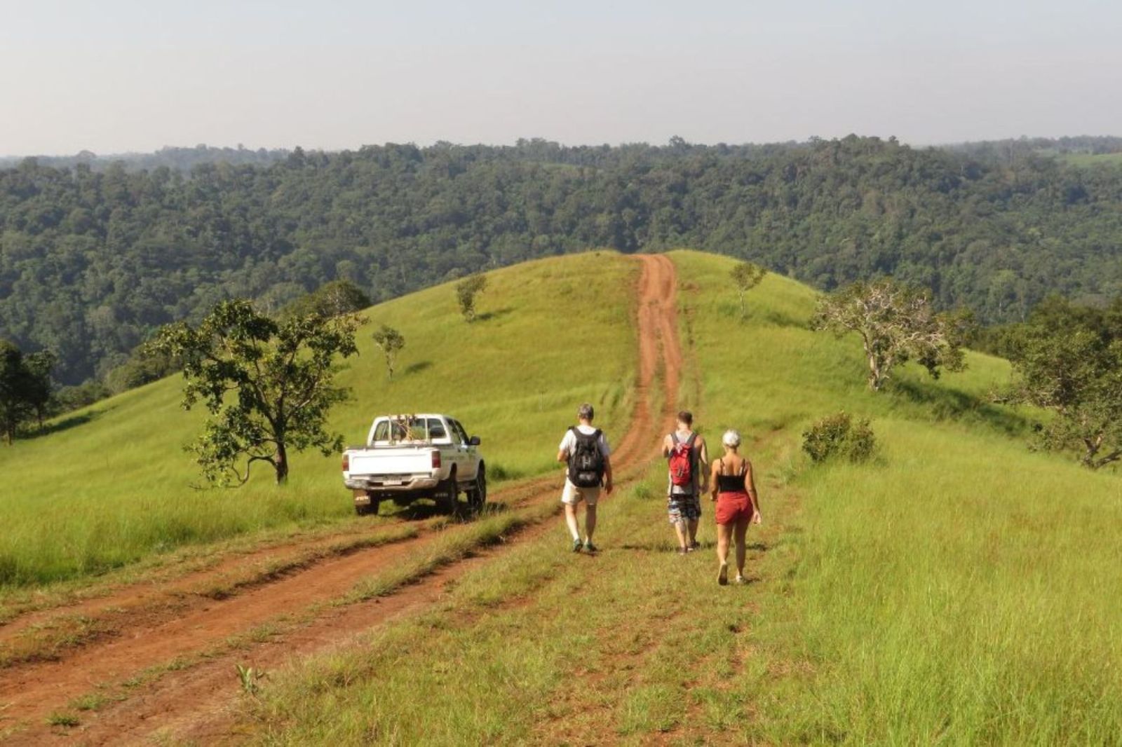 Trekking Jungle : Ratanakiri vs Mondulkiri, Guide Complet 2025