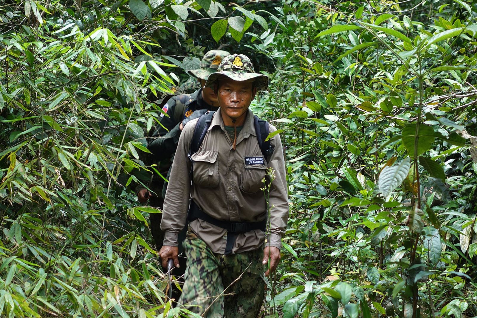 Trekking Jungle : Ratanakiri vs Mondulkiri, Guide Complet 2025