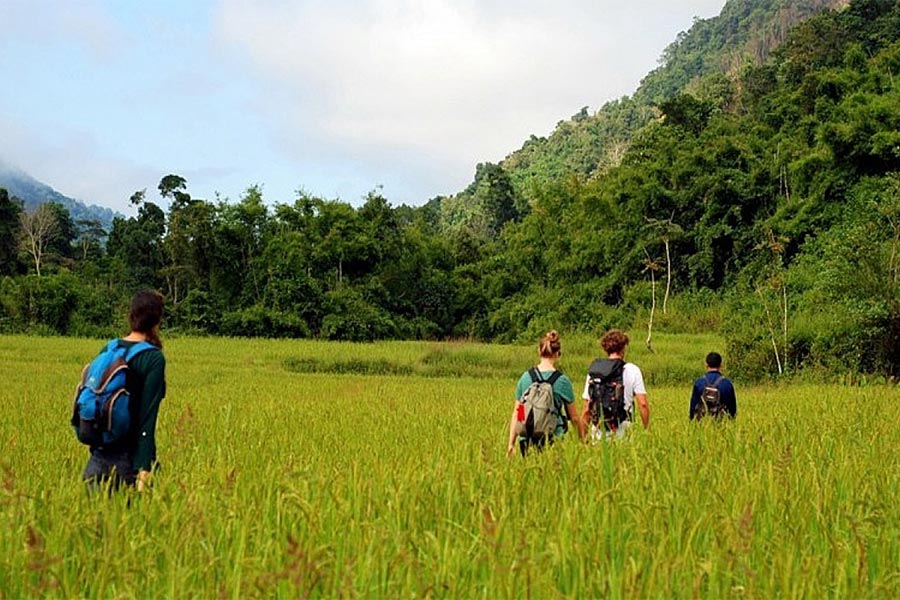 Trekking à Muang Ngoy en traversant les rizières verdoyantes est une expérience mémorable