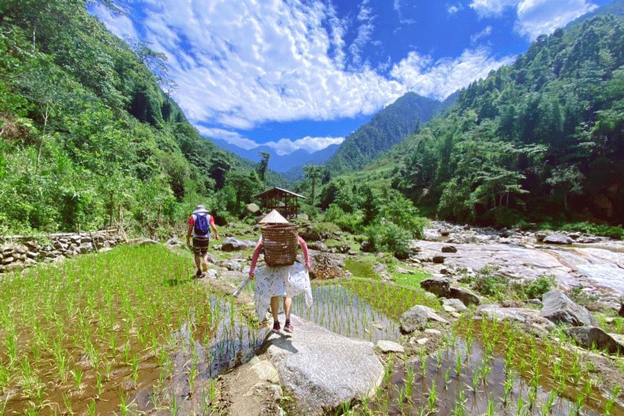 trekking à Sapa