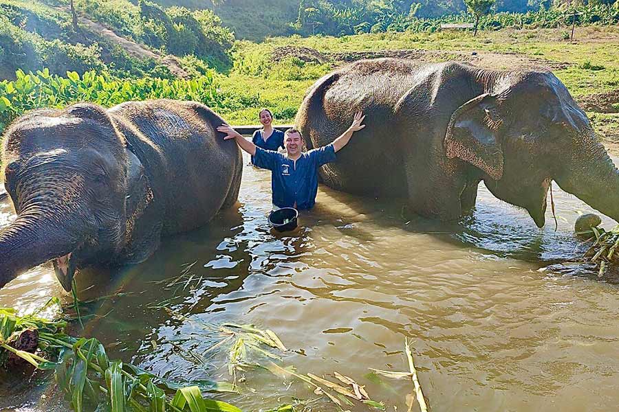 Le nord de la Thaïlande vous invite à une rencontre inoubliable avec les éléphants