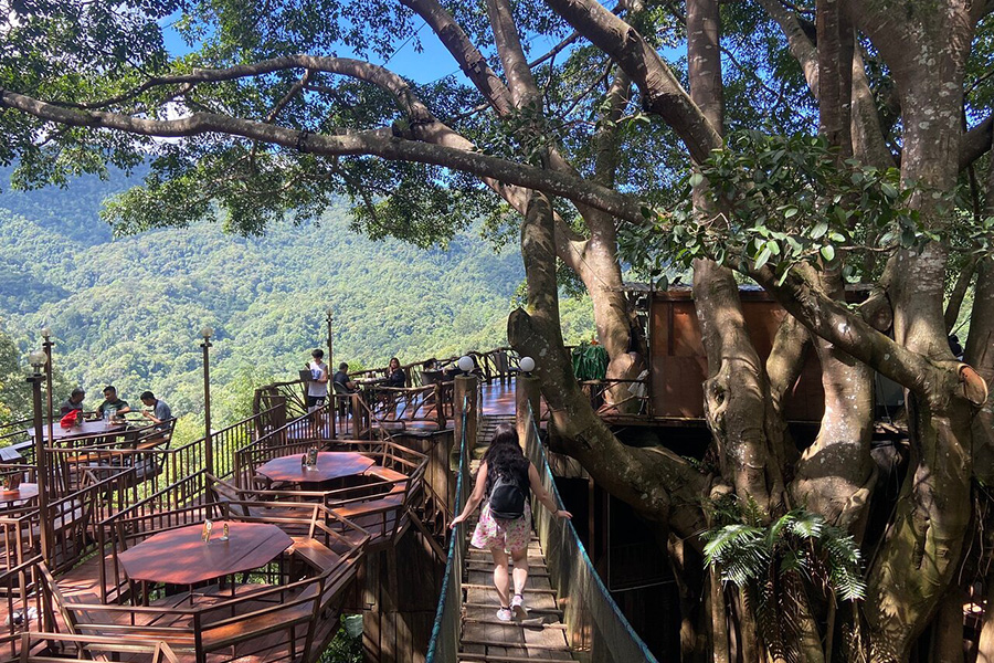 Savourez un moment unique dans ce café perché dans les arbres à Chiang Mai