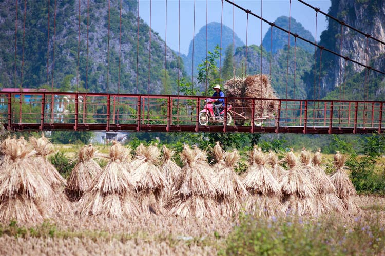 La vie rustique des locaux de la vallée de Phong Nam restera gravée dans vos mémoires pour toujours