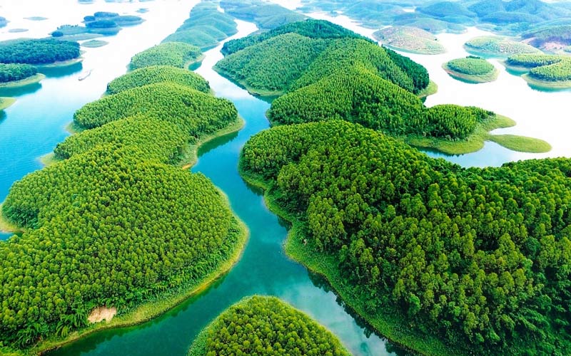 exploration de etang de van hoi a phu tho au vietnam