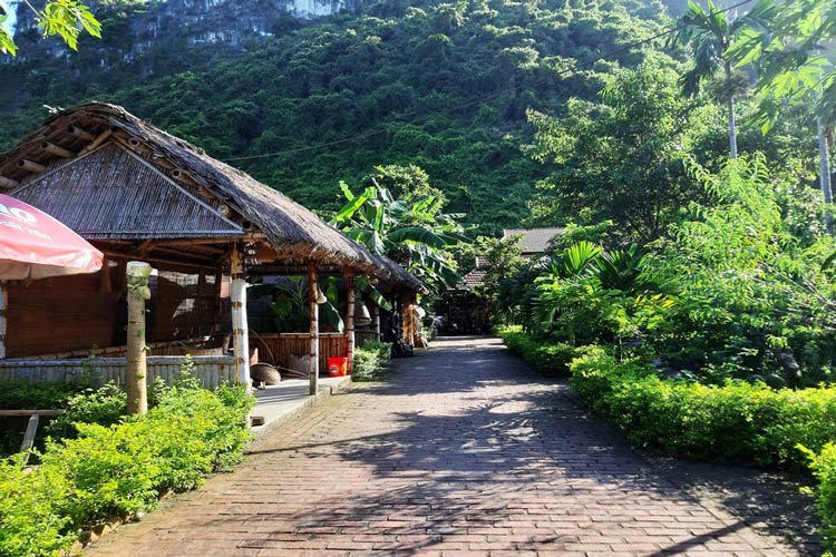 Une rue dans le village de Viet Hai