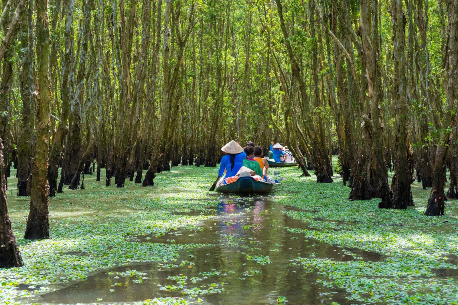 Vietnam en 3 semaines : l'aventure familiale parfaite au cœur de l'Asie