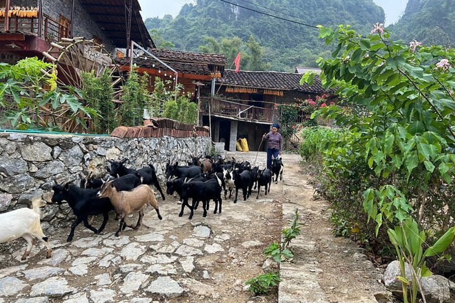 Autour du Col Ma Phuc, les voyageurs peuvent rencontrer les ethnies locales Tay et Nung