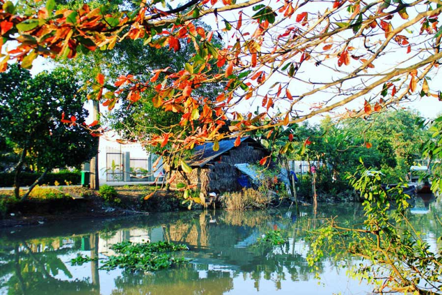 Village ancien de Dong Hoa Hiep