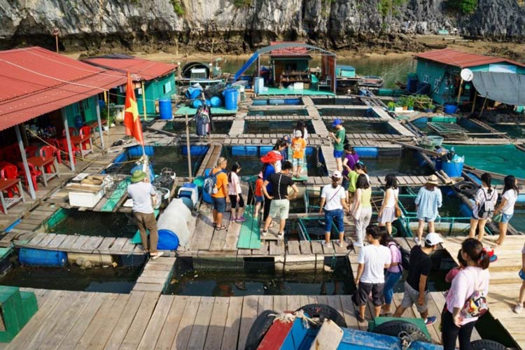 Explorer les cages à poissons de la population locale est une expérience à ne pas manquer