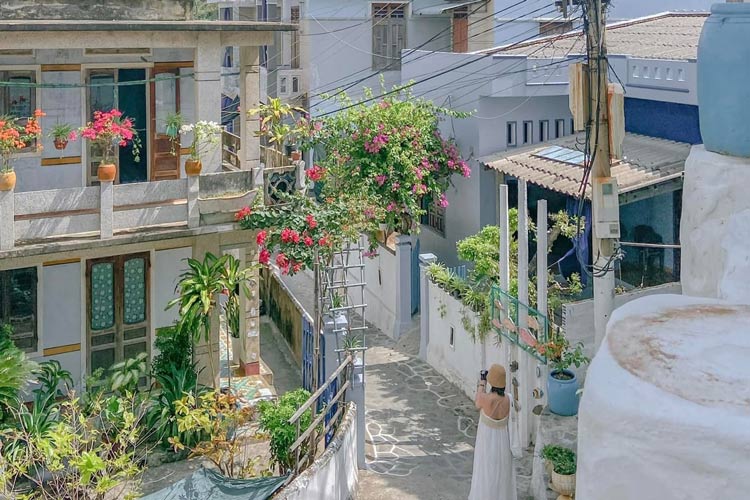 Les ruelles du village de Nhon Ly sont brillantes sous le soleil