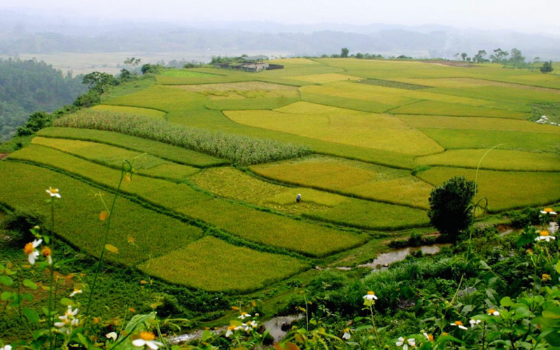 decouverte du village de pom coong a mai chau hoa binh