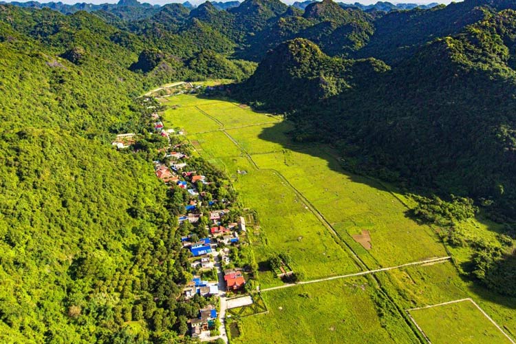 Viet Hai est un ancien village situé au milieu du parc national de Cat Ba