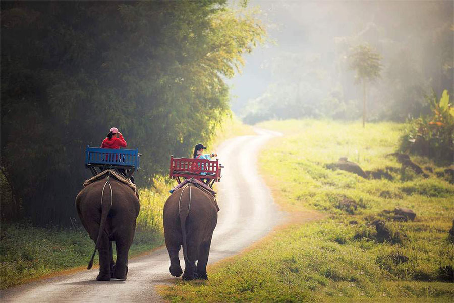 Trekking avec les éléphants est une aventure extraordinaire des visiteurs