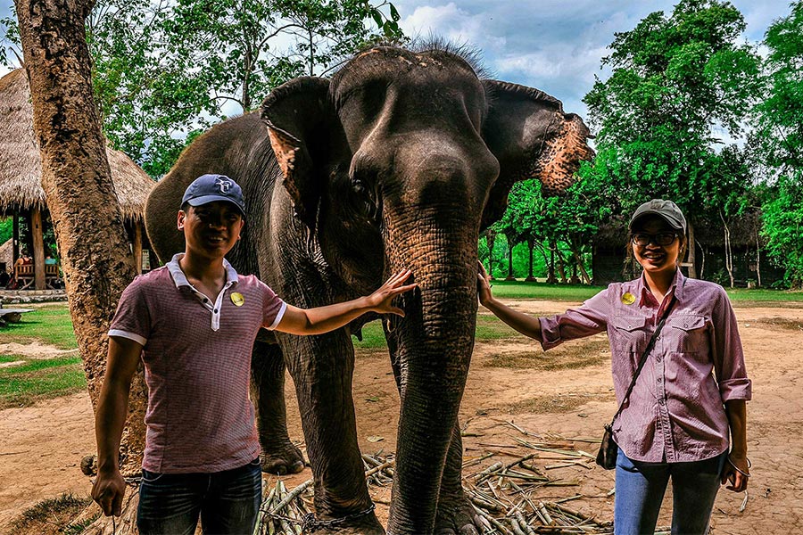 Village des éléphants à Luang Prabang est une attraction incontounable pour les amoureux de la nature