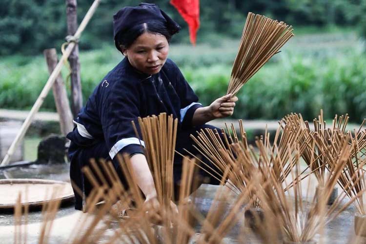 Au village encens de Phia Thap. le processus de teinture est assez élaboré