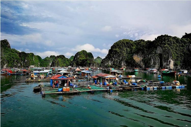 Village de pêcheurs de Cua Van compte plus de 7000 ans, étant le village le plus ancien au Vietnam