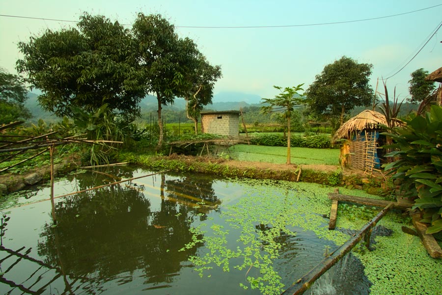 Le village de Ha Thanh