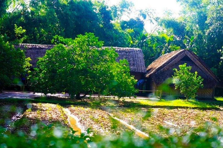 Le paysage autour de la maison du Président Ho Chi Minh