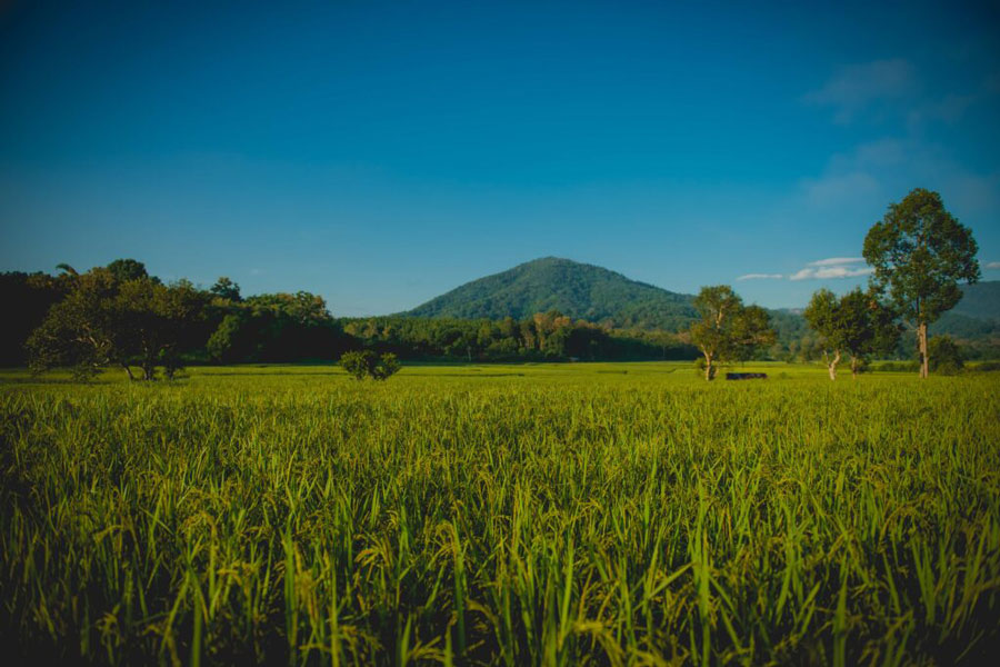 village-thailandais-hors-des-sentiers-battus