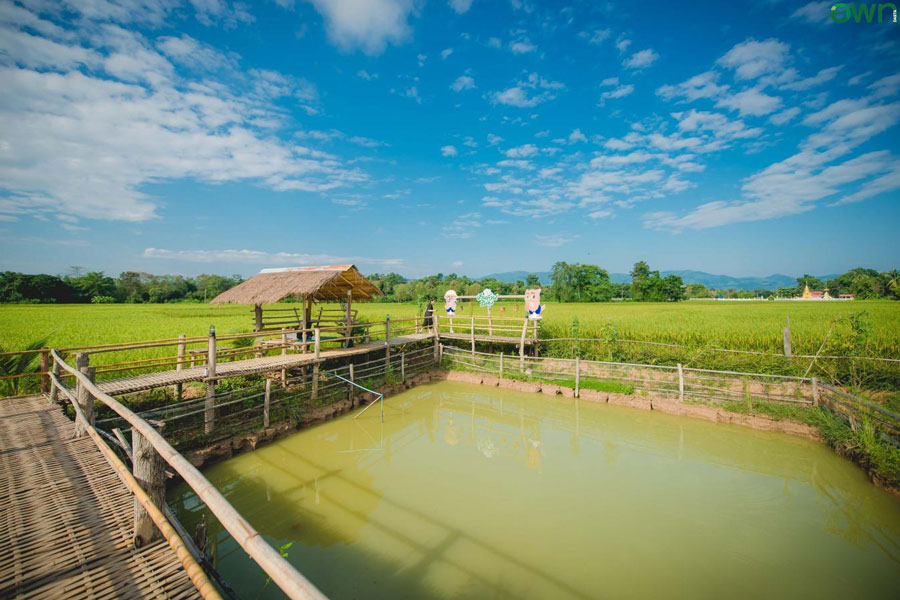 Un village thaïlandais hors des sentiers battus pour faire du tourisme en 2025.