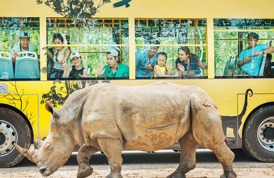 Vinpearl Safari Phu Quoc - Rhinos