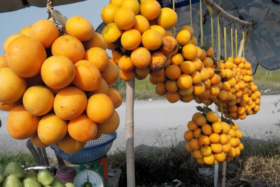 Thanh Tra - fruit unique à Vinh Long