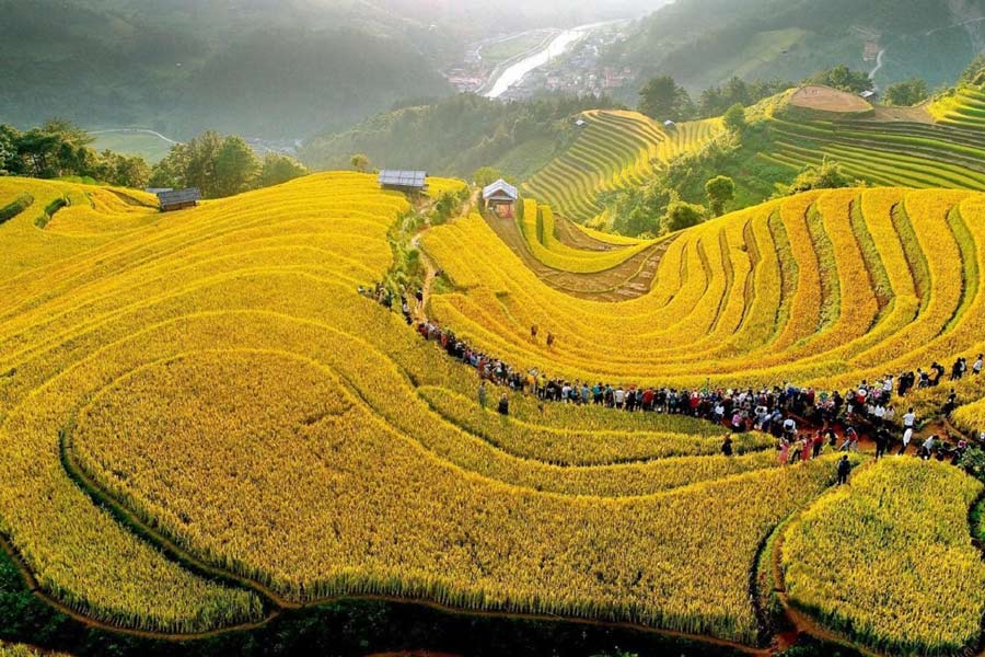 Voyage à Mu Cang Chai