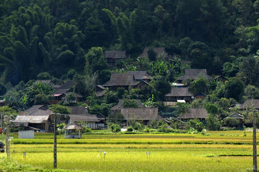 Voyage à Mu Cang Chai