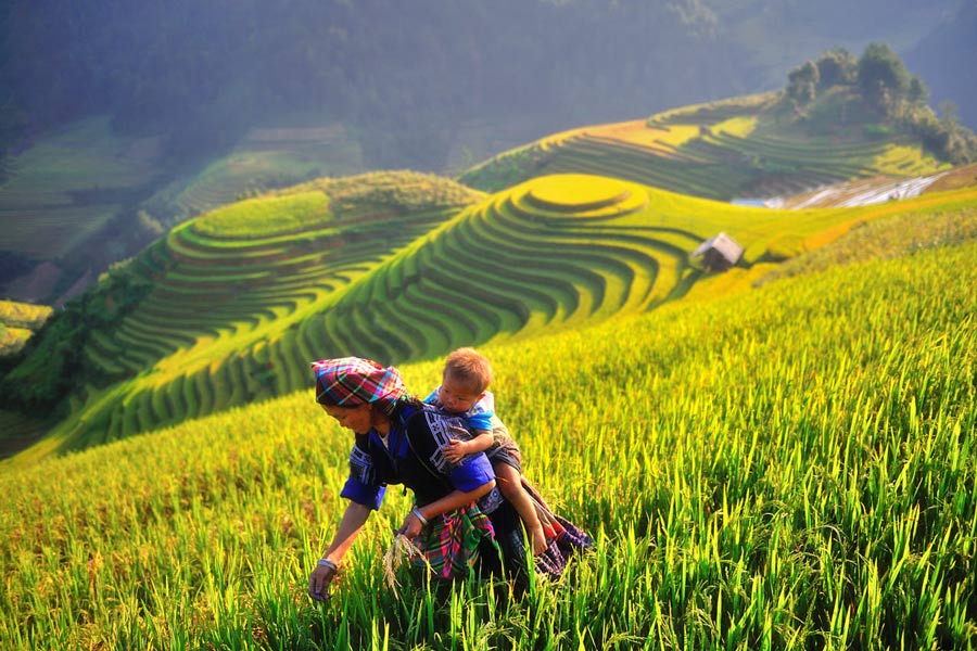 Voyage à Mu Cang Chai