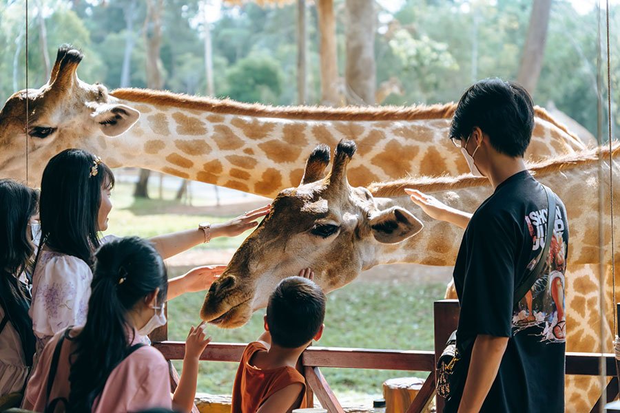 Prévoir un budget supplémentaire pour des tickets à l’entrée aux parcs d’attractions 