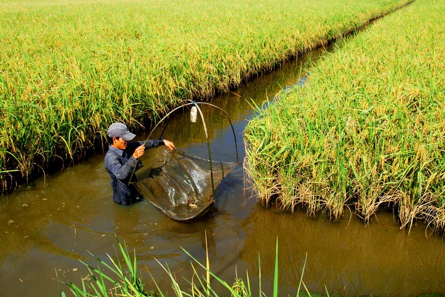 Voyage au Sud Vietnam