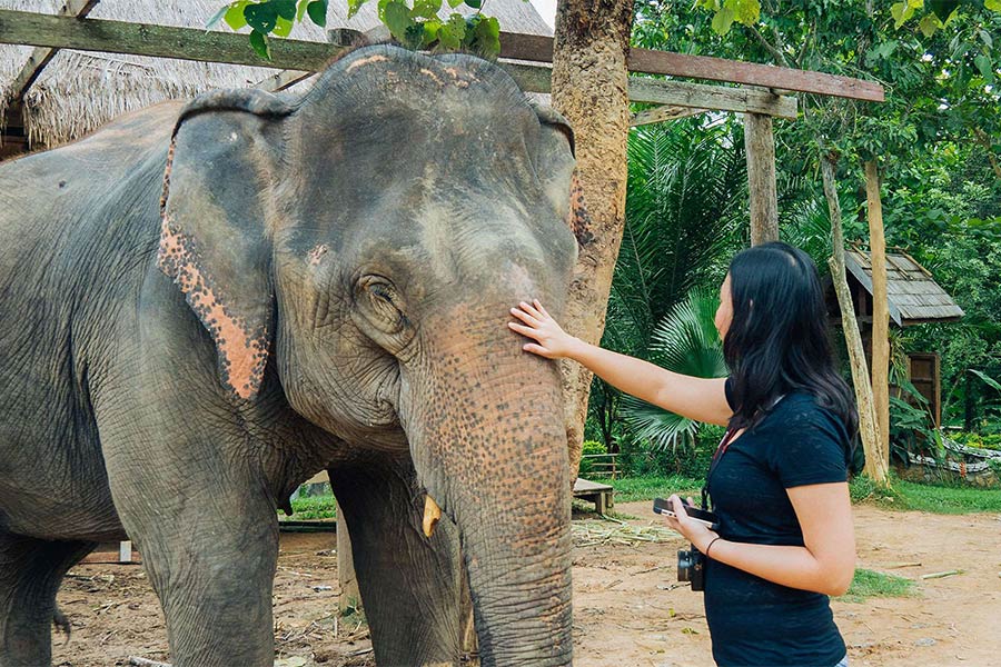 Jouer avec les éléphants laissera des souvenirs mémorables au Laos à vos enfants