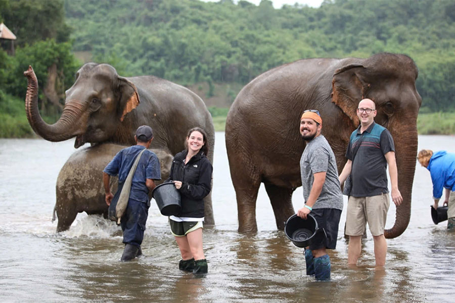 Voyage au Laos une semaine avec famille, jouer avec éléphants à Luang Prabang