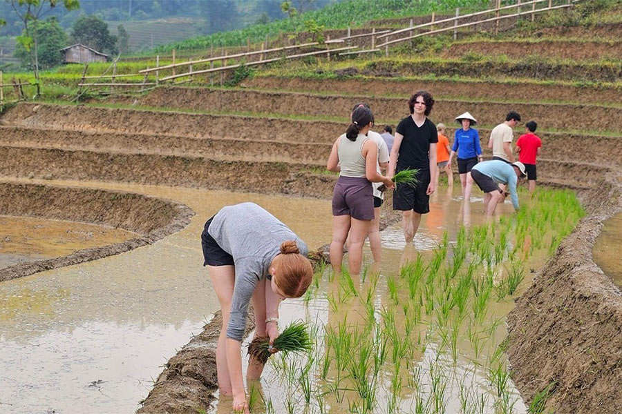 Les activités lors d'un voyage au Laos une semaine avec famille