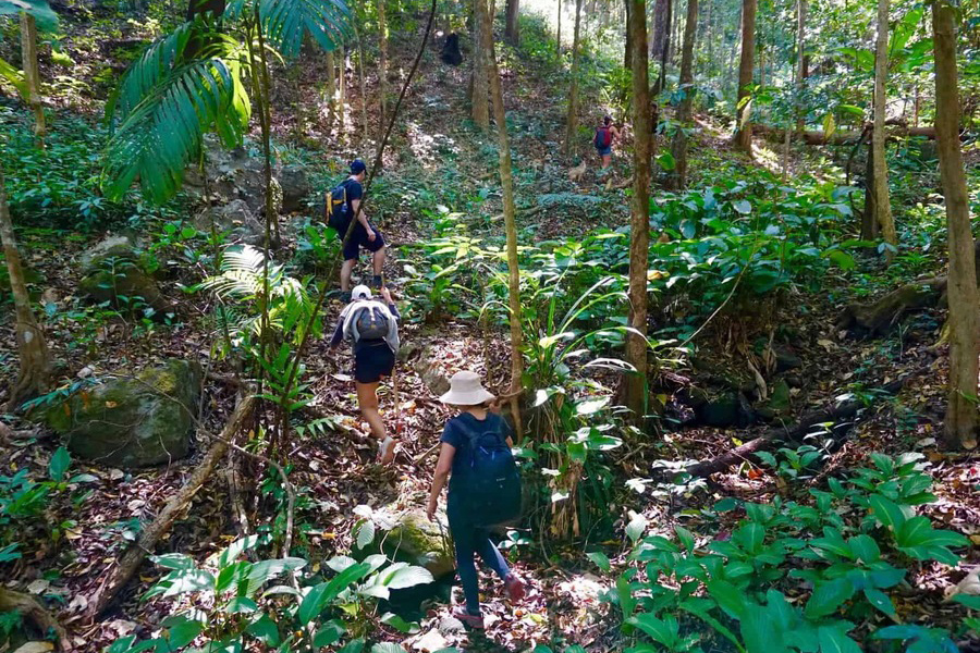 Faire un voyage responsable en Thaïlande qui comprend une randonnée dans le parc Doi Inthanon