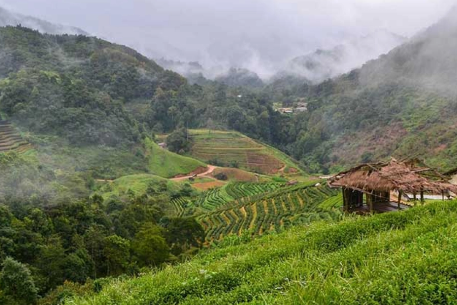 Itinéraire de voyage responsable en Thaïlande en 2 semaines