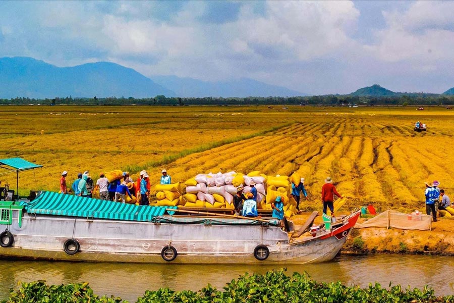 Voyage au Vietnam en juillet - Delta du Mékong