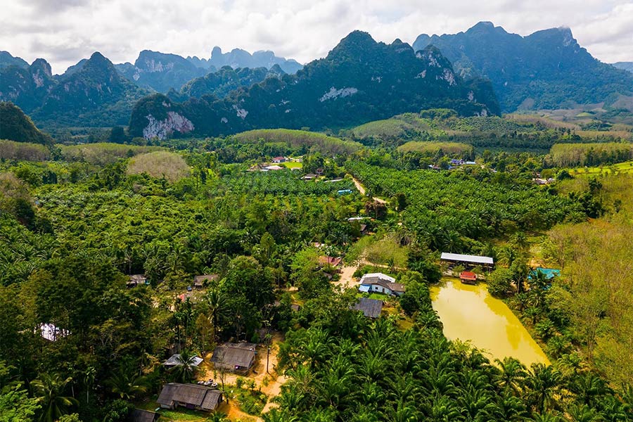 Voyage de Vietnam à la Thailande : Parc national de Khao Sok en Thailande