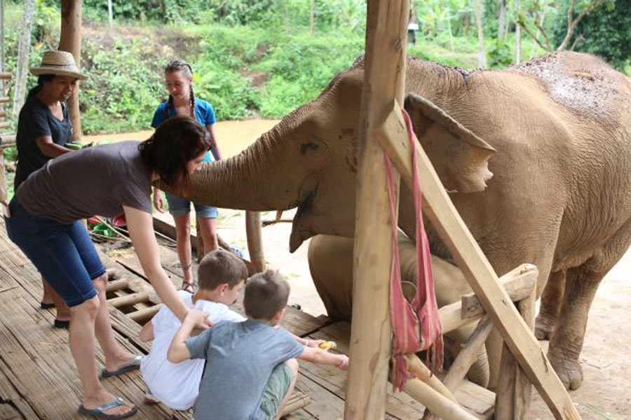 Les enfants peuvent interagir avec les éléphants à Chiang Mai