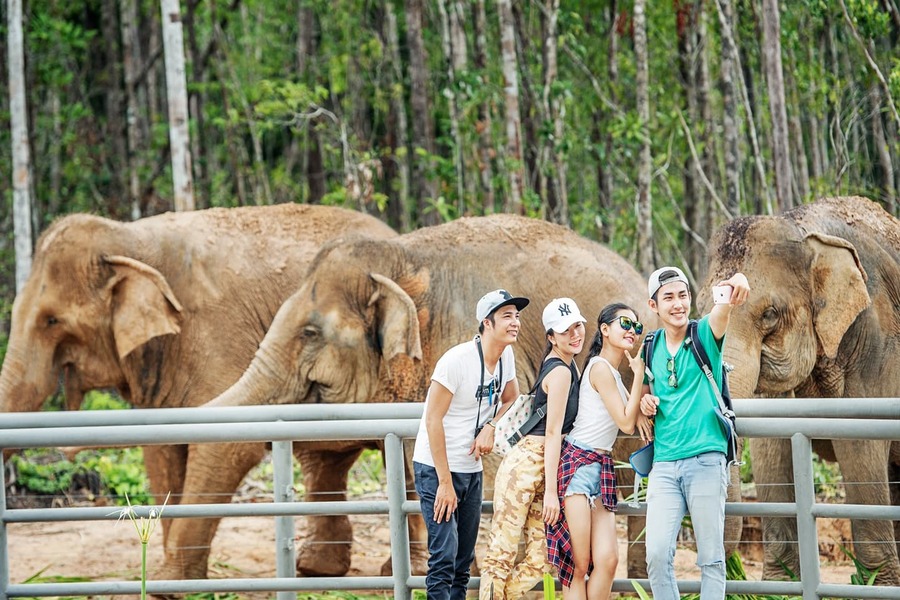Admirer la faune dans les parcs nationaux lors de voyager au sud du Vietnam pendant la saison des pluies