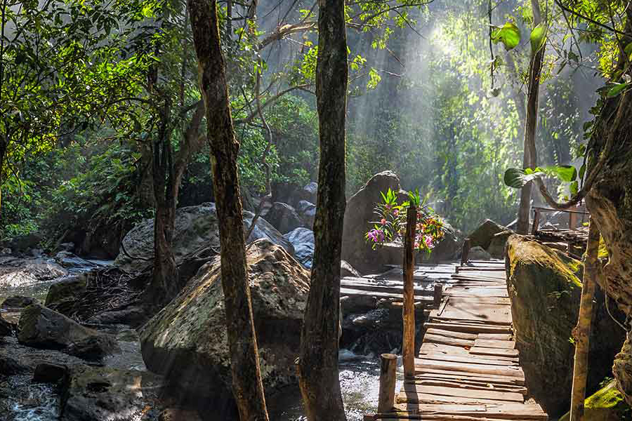 Voyager au Cambodge en août, surtout à Ratanakiri, c'est entrer dans un terrain profond et sensuel