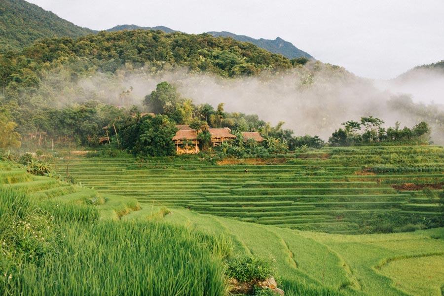 Pu Luong est où vous pouvez voyager au Nord du Vietnam en juin. 