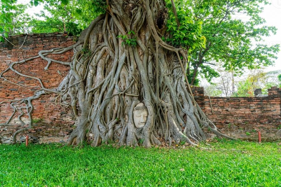 Wat Mahathat