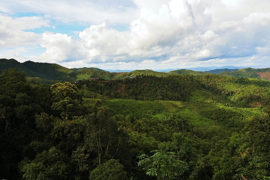 Charme du Nam Ha National Protected Area