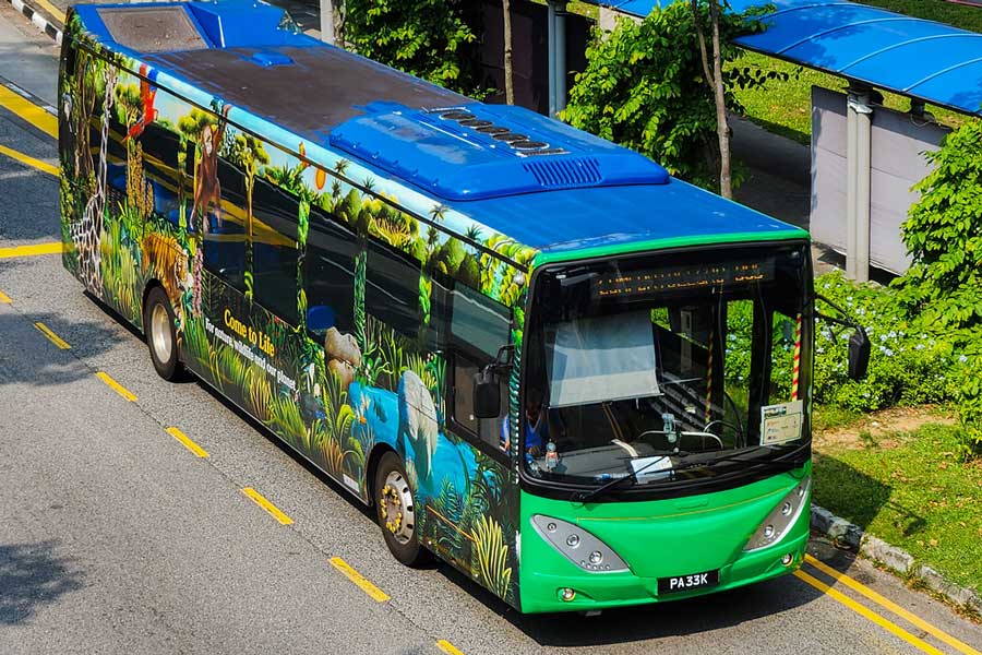 Se rendre au Zoo de Singapour en bus