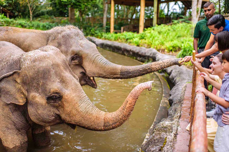 Gardien du Zoo de Singapour introduit les animaux avec leurs habitudes